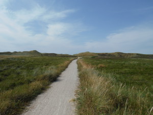 Je suis maintenant dans les dunes !