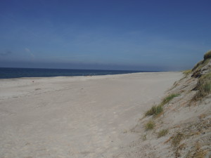 De l'autre côté des dunes, la plage, la baignoire.