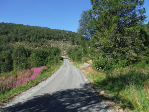 Je me perd un peu et veux regagner le véloroute... mais ce qui sur m'a carte m'avais l'air d'une route n'est qu'une mauvaise piste de 15km en montagne.