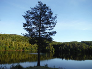 One of the small lakes between the moraine hills.