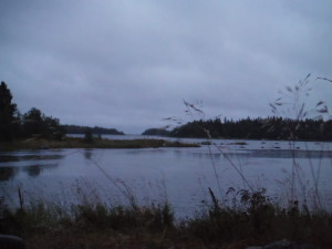 The bog in front of the cabin at night