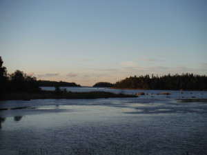 The bog in front of the cabin... at the morning.