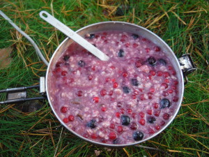 Local berries porridge.