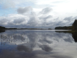 Hankajärvi, Soini