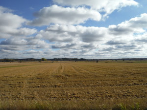 Pukkila, Finlande. Here it's now that we harvest the oat.