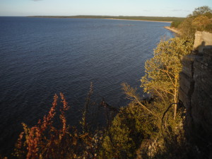 Türisalu, the cliff 