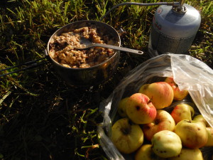 La saison des pommes !