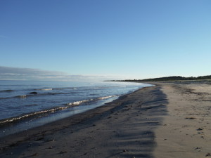 The frozen beach at the morning- Kõpu