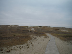 Trail in the dunes - Nida