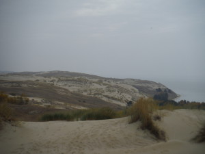 The big dunes of Nida