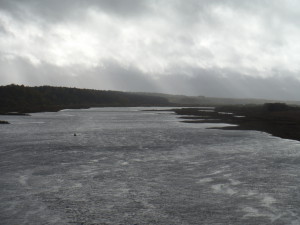 The Nemunas river, border between Lithuania and Russia