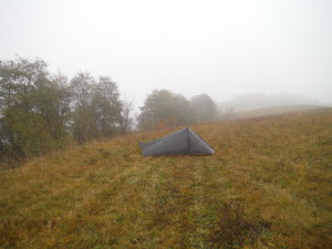 Foggy morning - Wiżajny