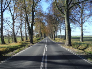 The road is less and less hilly - Banie Mazurskie