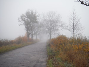 The road at the morning- -Sępopol