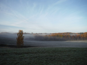 frost and fog at the morning - Spytajny.