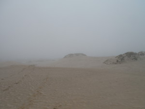 Dunes, Łeba