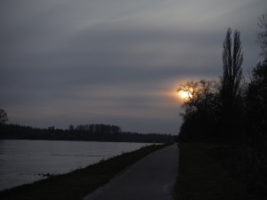 Winter sun on the Rhein river - Neuburg am Rhein