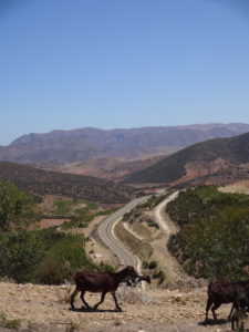 Going up in the Rif mountains, Rouadi الرواضي