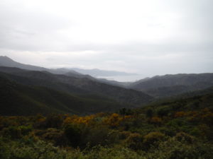 In the Serra de Rodes