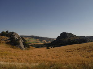 Cuevas del Becerro