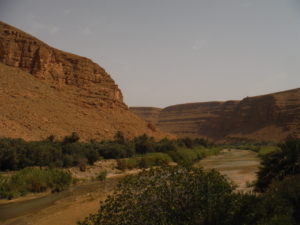 Oasis in the Ziz Canyon, Ifri