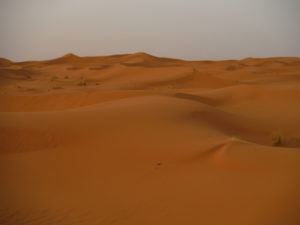 In the dunes, Merzouga