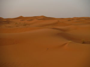 In the dunes, Merzouga