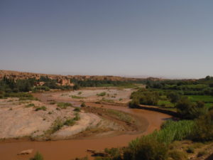 The low Dadès, oasis in the desert - near Kelâat M'Gouna قلعة امڭونة