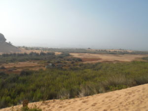 Camping near the ocean - Ouled Salem أولاد سالم