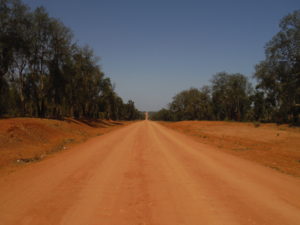 La piste... C'est une route goudronnée sur ma carte ! Dans la foret de chênes.