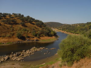 Along the lake of El Ronquillo